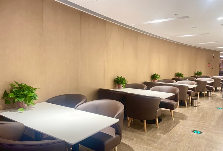China Eastern First and Business Class VIP Lounge V5 (Main Terminal) business lounge at Qingdao Liuting International Airport (TAO)
