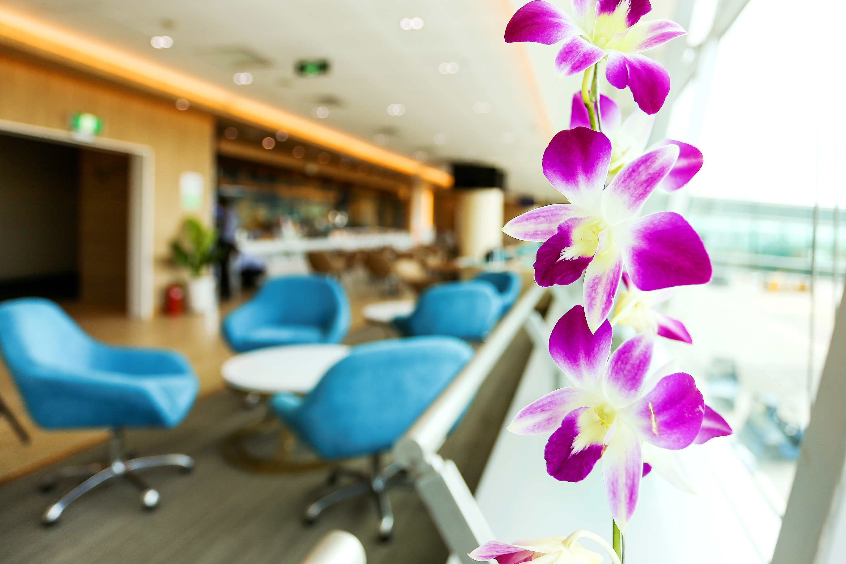 Apricot Business Lounge business lounge at Tan Son Nhat International Airport (SGN)