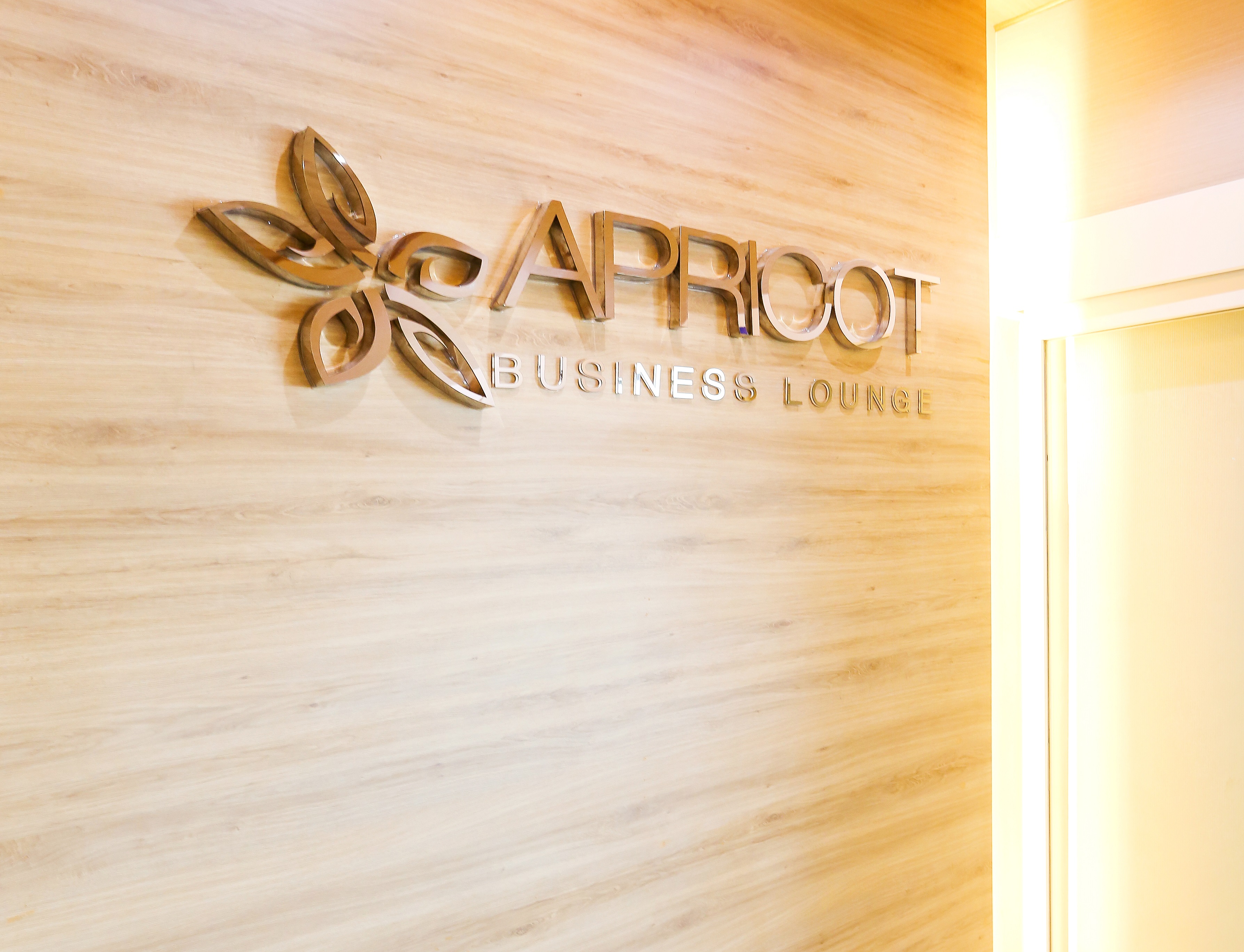 Apricot Business Lounge business lounge at Tan Son Nhat International Airport (SGN)