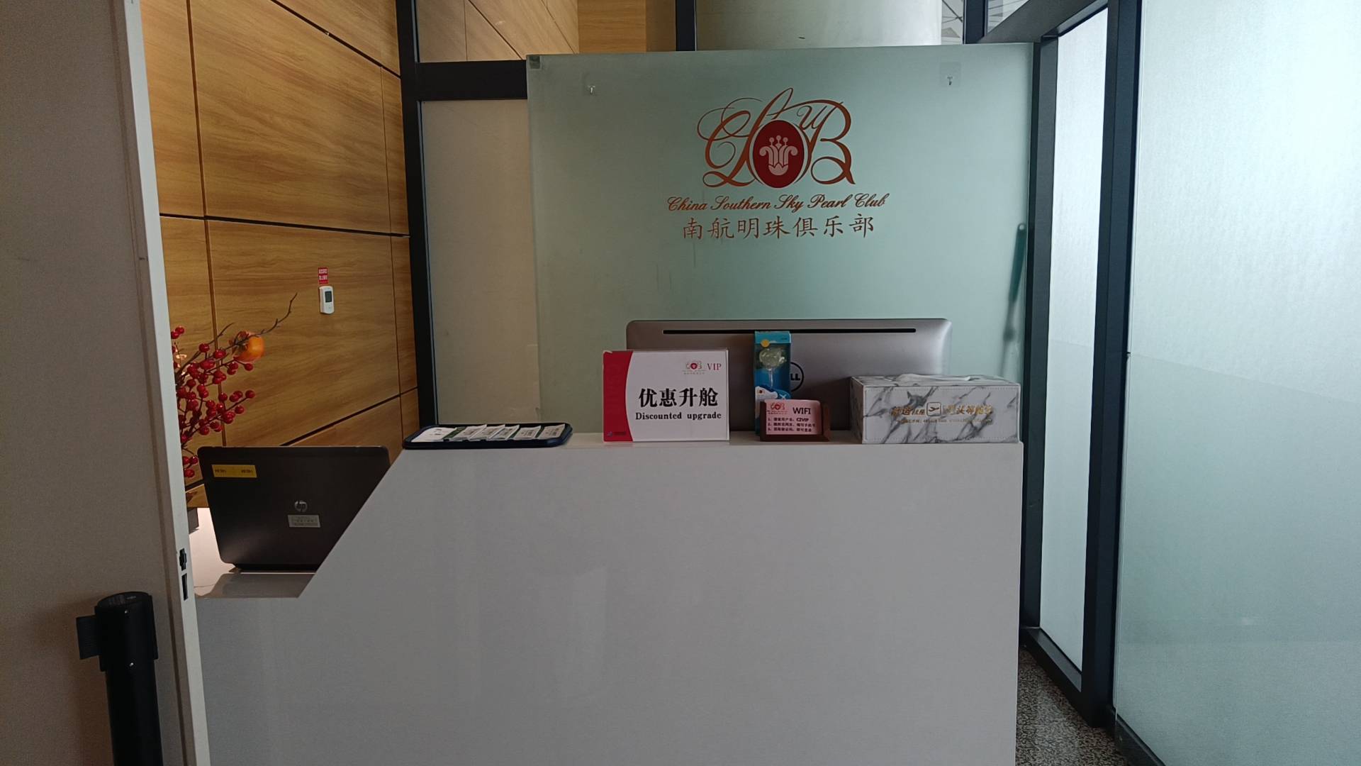 South Airlines Pearl Gold and Silver Card VIP Lounge (T2 Domestic) business lounge at Changchun Longjia International Airport (CGQ)