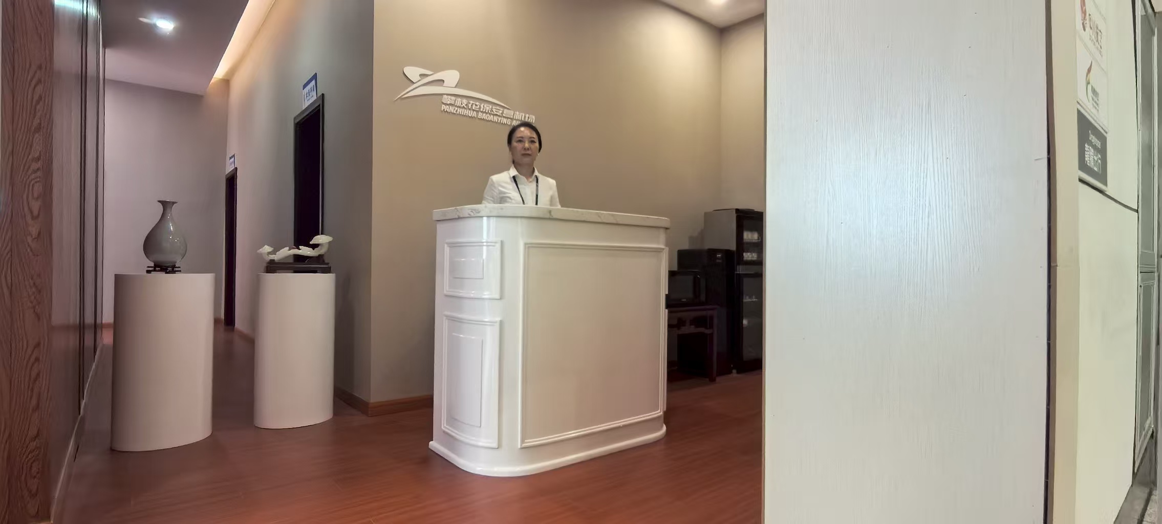 First and second class lounge business lounge at Pan Zhi Hua Bao An Ying (PZI)